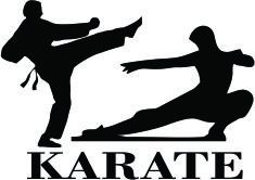 Adesivos Artes Marciais